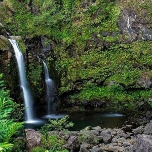 21A- Hana's Rainforest & Waterfall Experience- From Maui