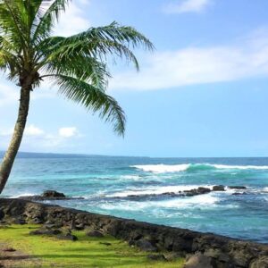 Beach Snorkel - Sea Turtle Lagoon and Black Sand Beach