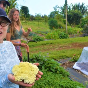 Farm to Table Cooking Class