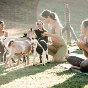 Private Event Buy-Out