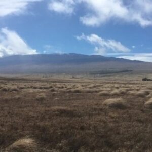 PRIVATE Big Island Big Volcano Adventure from Hilo