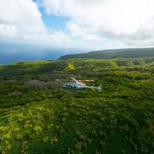 Doors-Off Kohala Valleys & Waterfalls Tour with Remote Landing