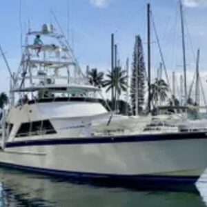 Four Hour Public Whale Watch Cruise