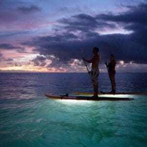 Twilight GLOW Paddle