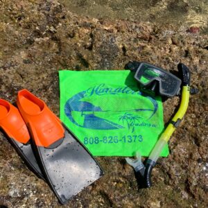 Adult Snorkel Set