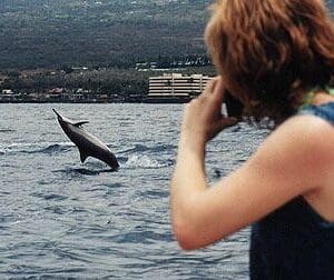 Dolphin Discovery Adventure