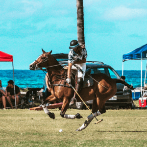 Polo / Riding Lesson