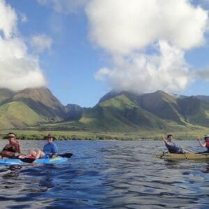 Kayak and Snorkel West Maui at Olowalu (3.5 hrs)