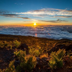 Haleakala Summit & Stroll