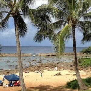 Oahu Customizable Luxury Anywhere Anytime Tour
