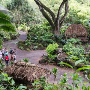Cultural Kipahele Shuttle Tour