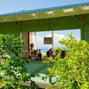 Kona Coffee Farm Tour