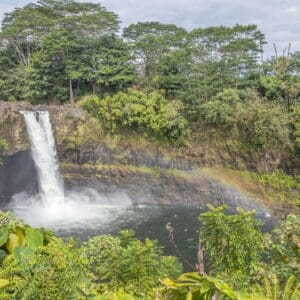 Hilo Cruise Ship Guest Special - Botanical Gardens, Waterfalls, and Farmers Market