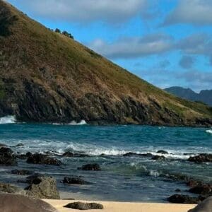 Native Wildlife Tour - Turtles, Monk Seal, Albatross