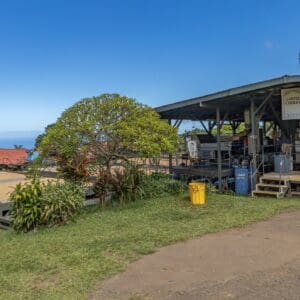 Kona Cruise Ship Guest Special - Kona Historical Tour