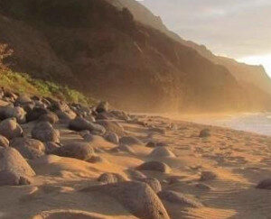 Half-Day Kauaʻi Adventure