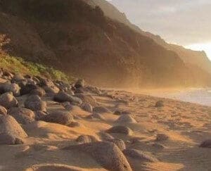 Half-Day Kauaʻi Adventure