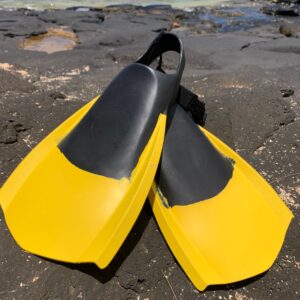 Body Boarding Fins