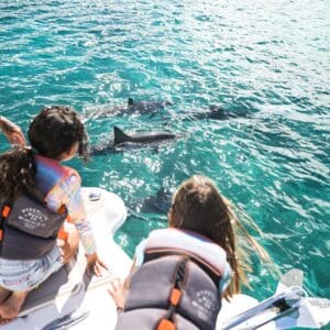 Venture Midday Wildlife Snorkel