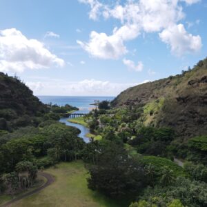 Private North Shore Tour Waimea Falls/Garden (1- 6 people/6 hrs)