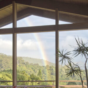 90-Minute Group Tour