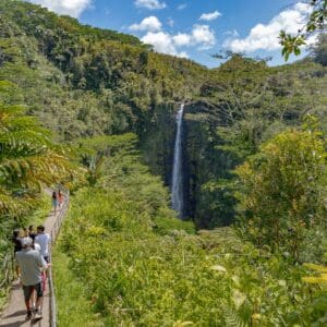 The Full Circle Big Island Tour