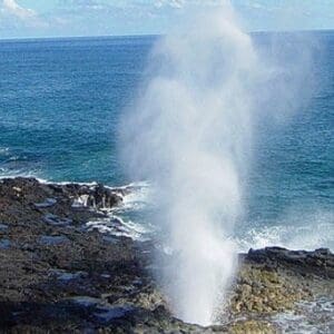 Private Kauai Island Sightseeing Tour. Featuring the Waimea Canyon