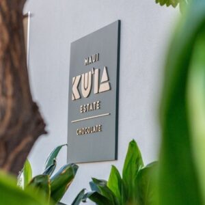 Chocolate Factory Experience