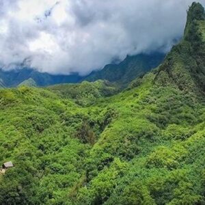 The Maui Island Tour, Private Charter