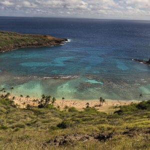 Private Tour - Best of Oahu Sightseeing