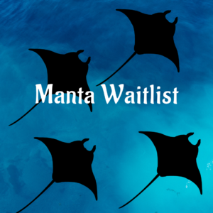 MANTA WAITLIST