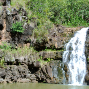 Hidden Gems of Oahu with Waimea Botanical Garden