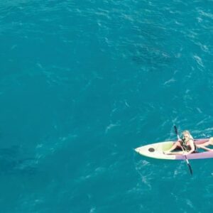Clear Bottom Kayak Rentals