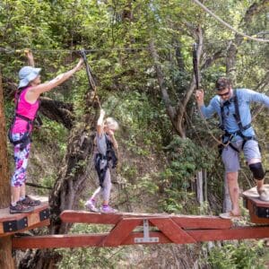 Zipline & Adventure Tower Package