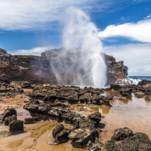 West Maui Adventure (ʻIao Valley Option)