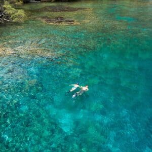 Private Afternoon Snorkeling Tour