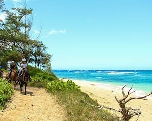 Surf & Turf Ride Package