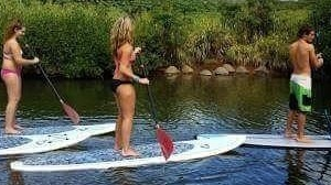 SUP North Shore Nature and Turtle Tour