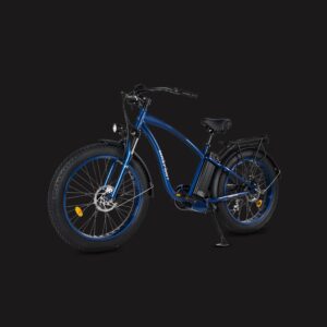 Electric Bikes