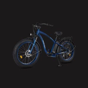 Electric Bikes
