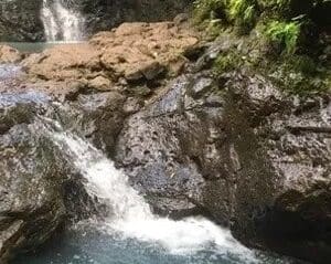 Guided Waterfall/Jungle Tour - Manoa Falls, Lulumahu, Waimano