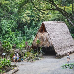 Full Day General Admission