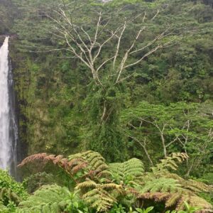 SHARED Big Island Big Volcano Adventure from Kona