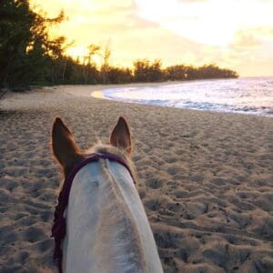 Sunset Horseback Ride