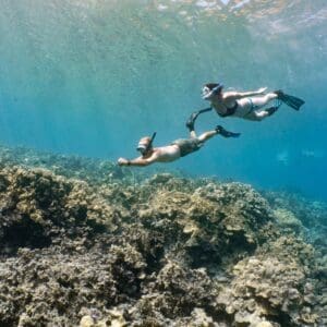 Local Kona Morning Snorkeling Tour