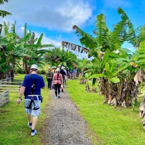 Waterfall Hiking Tour