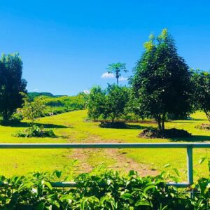 Kulaniapia Farm Tour