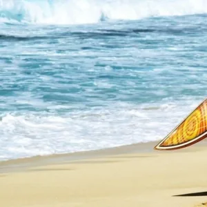 Full day tour around Pearl Harbor sights