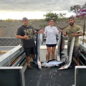 Full day fishing charter exploring deep sea fishing spots