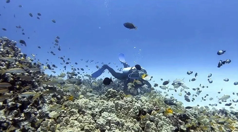 Scuba diver guided on peaceful shore dive
